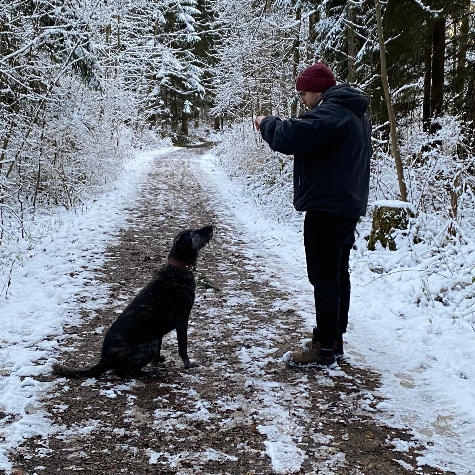 Klöck - Mobile Tierbetreuung Memmingen